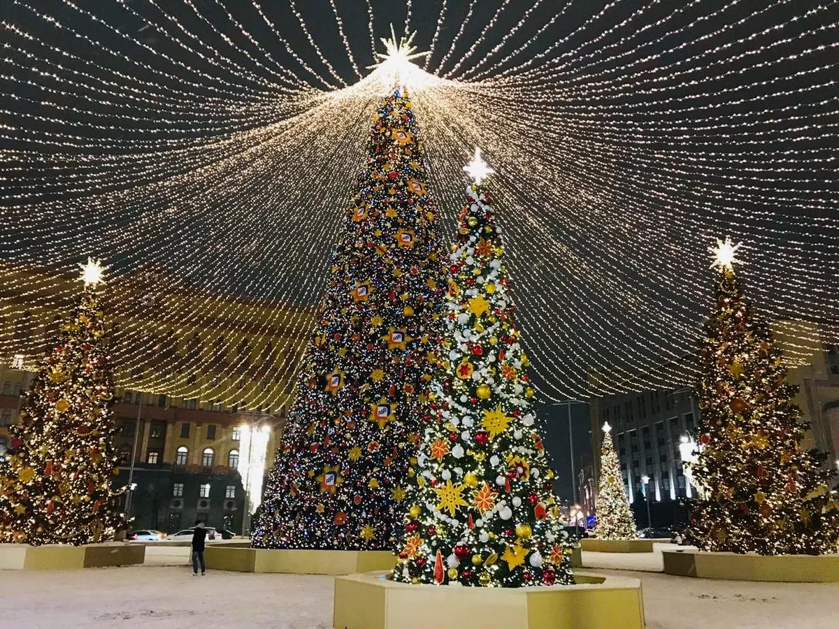 Городские елки