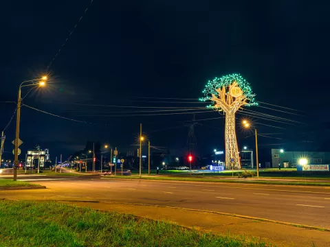 Курская антоновка ЛЭП